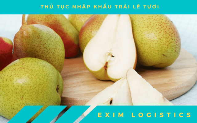 thu tuc nhap khau trai le tuoi thu tuc hai quan thu tuc nhap hau trai cay tuoi nhap khau thu tuc hai quan trong goi thu tuc logistic