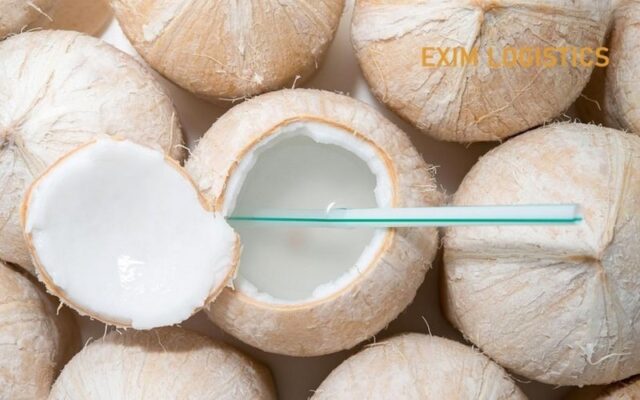 thu tuc xuat khau dua tuoi thu tuc xuat khau trai dua tuoi thu tuc hai quan thu tuc xuat nhap khau nhan uy thac lam thu tuc xuat khau dưa tuoi thu tuc nhap khau dua tuoi