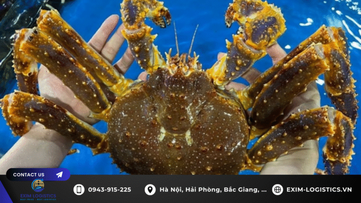 thu_tuc_nhap_khau_cua_hoang_de