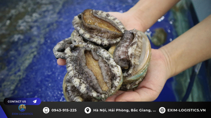 thu-tuc-nhap-khau-bao-ngu-song