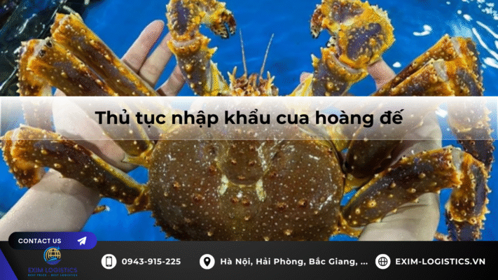 thu_tuc_nhap_khau_cua_hoang_de