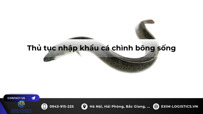 thu_tuc_nhap_khau_ca_chinh_bong_song