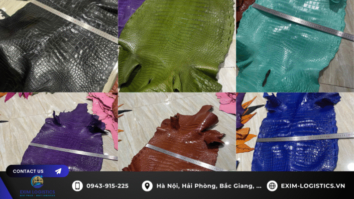 thu-tuc-nhap-khau-da-ca-sau-da-thuoc