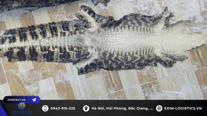 thu-tuc-nhap-khau-da-ca-sau-da-thuoc